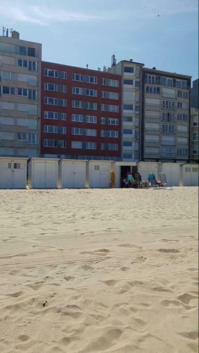 2 Slaapkamer Appartement Op De Zeedijk Van Oostende. Ngoại thất bức ảnh